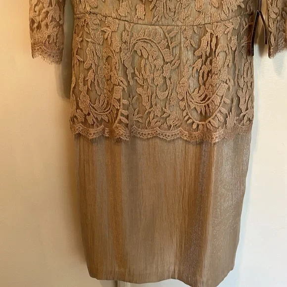 NWT Champagne Color Cocktail Dress by Adrianna Papell Size 8 - Picture 3 of 8